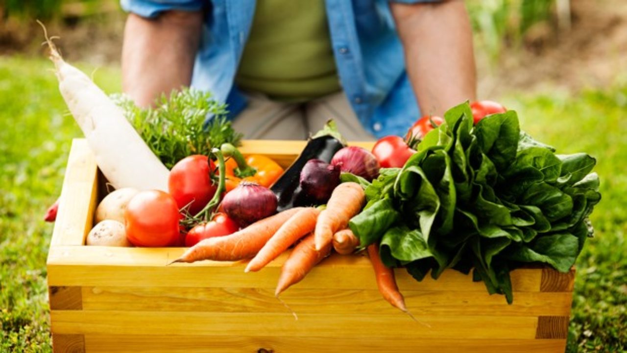 Cosa Coltivare In Autunno Idee Green