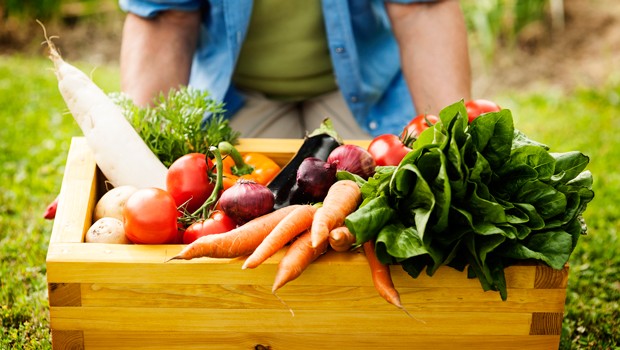 cosa coltivare in autunno