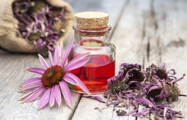 echinacea tintura madre