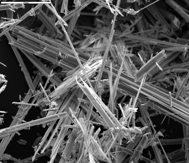 Giornata mondiale vittime dell'amianto Giornata mondiale vittime dell'amianto