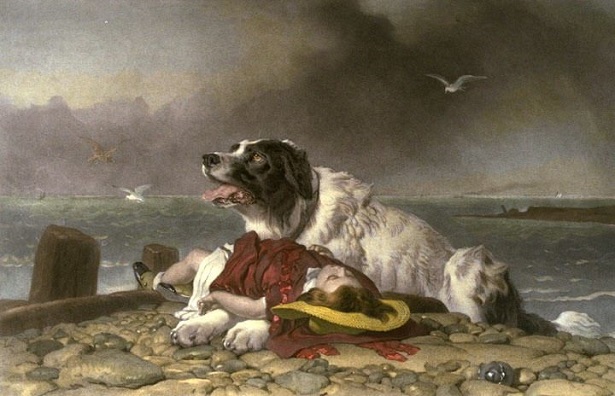 landseer 