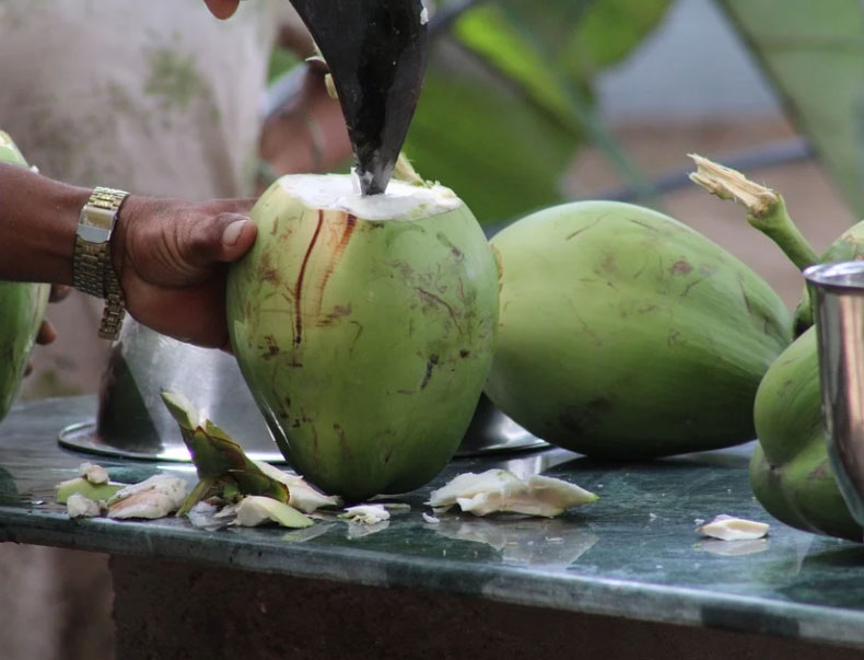 Acqua di cocco: 10 benefici per la salute - Idee Green
