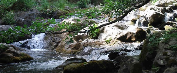 Parco Nazionale della Sila