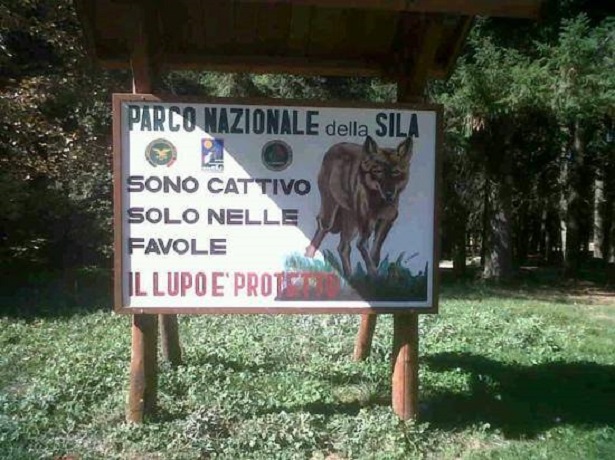 Parco Nazionale della Sila