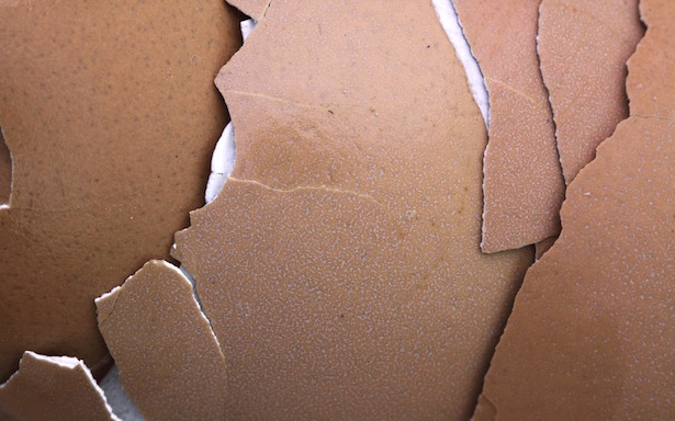 riciclare gusci uova