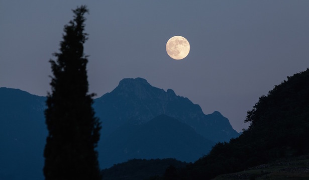 rotazione delle colture