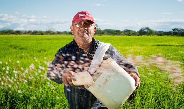 Biodiversità agroalimentare
