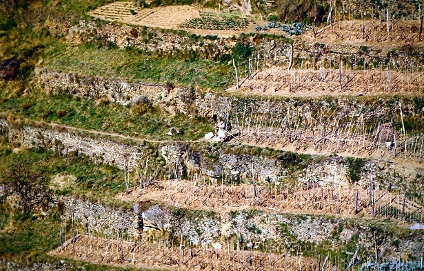 Parco Nazionale delle Cinque Terre