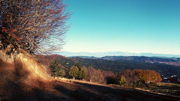 Parco della Sila: Camigliatello Silano