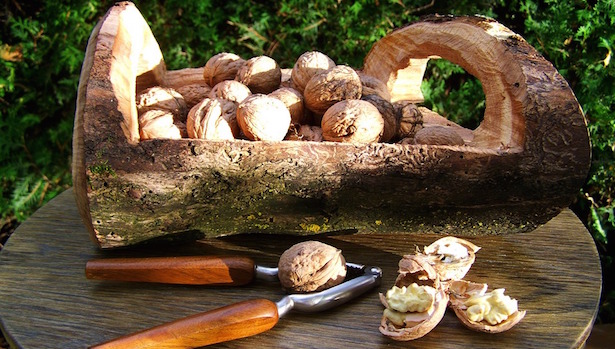 come riciclare gusci di noci