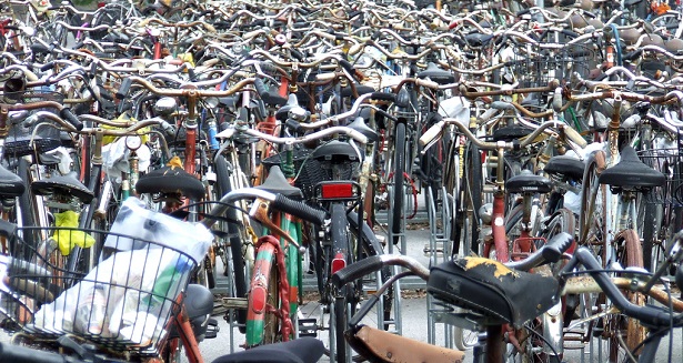 giornata nazionale della bicicletta giornata nazionale della bicicletta