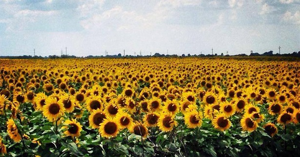 impianti di cogenerazione 