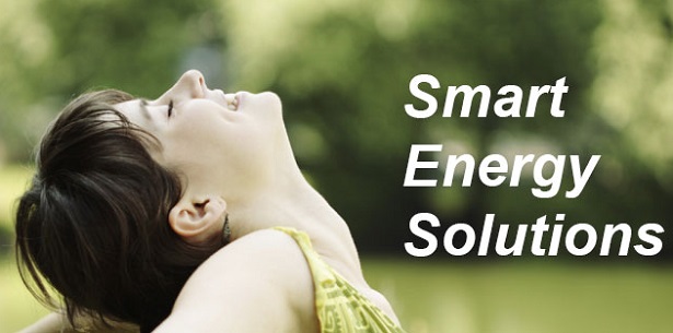 Monitoraggio dell’autoconsumo dell’impianto fotovoltaico Monitoraggio dell’autoconsumo dell’impianto fotovoltaico