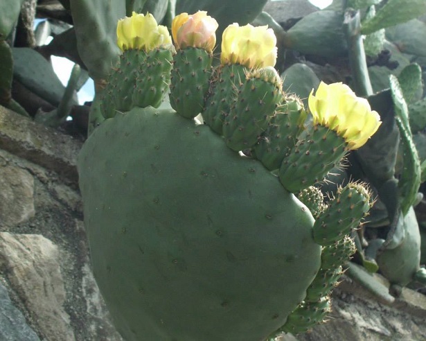 parco nazionale del cilento e vallo di diano 