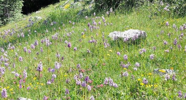 parco nazionale del cilento e vallo di diano 