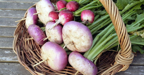 Come coltivare le rape