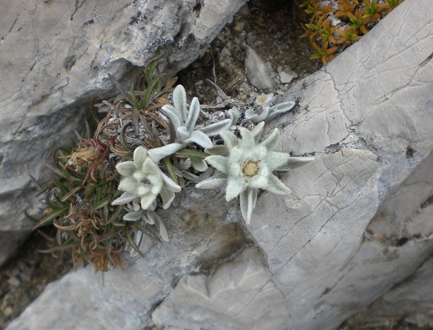 Parco Nazionale del Gran Sasso e Monti della Laga