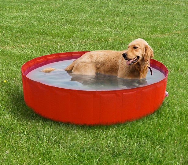 cane che soffre il caldo 