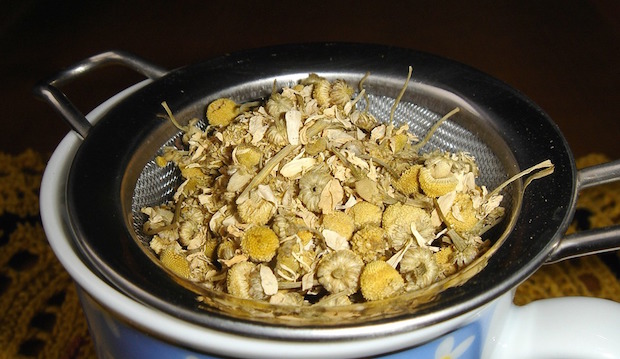 differenza tra infuso decotto