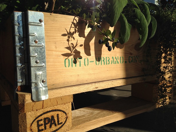 orto urbano terrazzo 