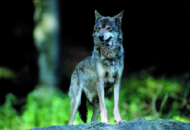 parco nazionale dei monti sibillini