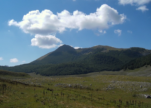 parco nazionale del Pollino