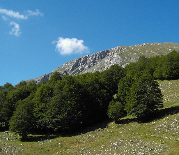 parco nazionale del Pollino 