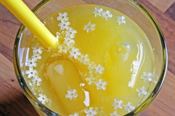 sciroppo di sambuco fatto in casa