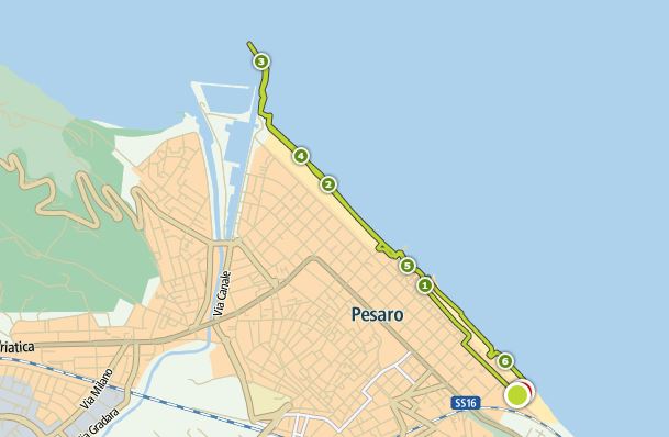 Tracciato GPS corsa Nautilus - Pesaro