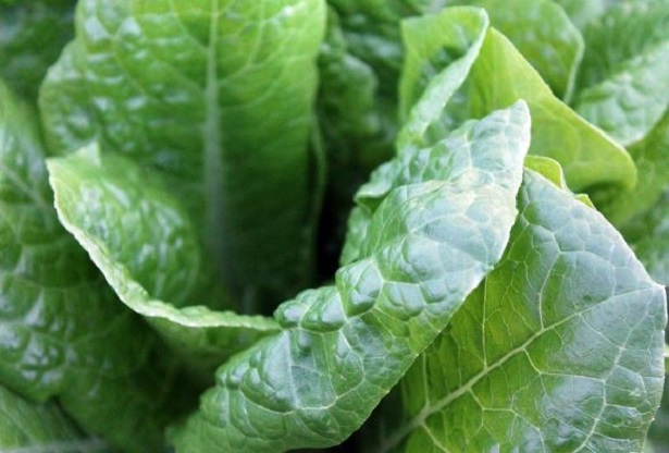 alimenti ricchi di potassio