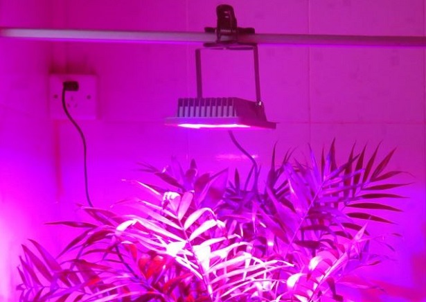 idroponica fai da te idroponica fai da te