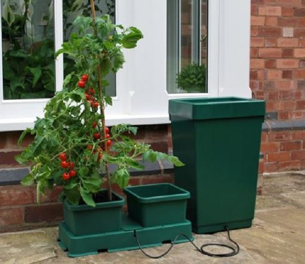 idroponica fai da te idroponica fai da te