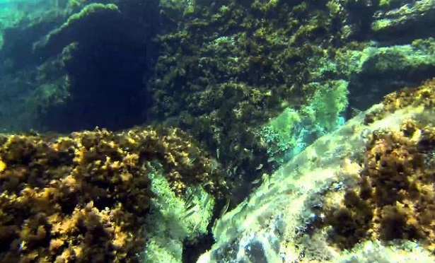 parco nazionale dell'arcipelago toscano