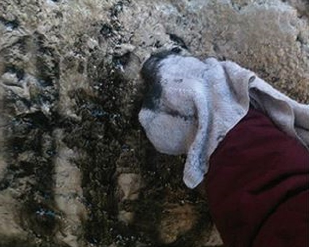 retake a milano e a roma