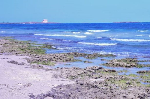 torre guaceto riserva naturale