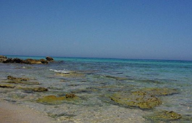 torre guaceto riserva naturale