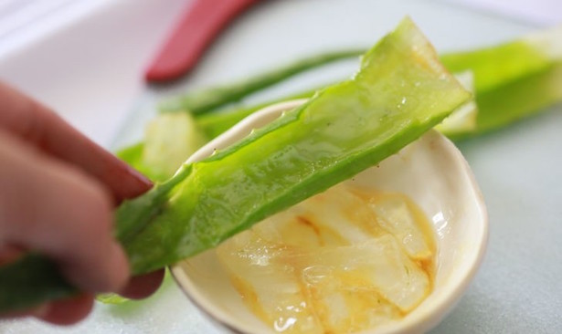 Rimedi naturali con Aloe vera