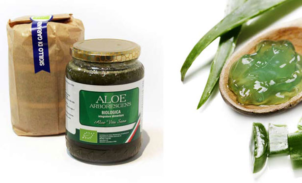 Aloe Arborescens proprietà