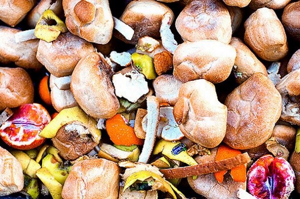 legge antispreco legge antispreco