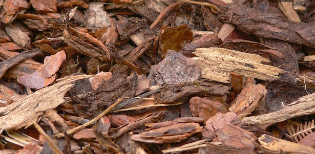 pacciamatura fai da te