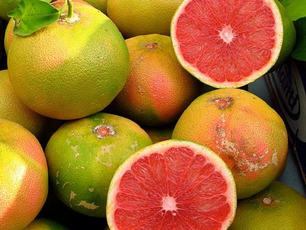 pompelmo rosa pompelmo rosa