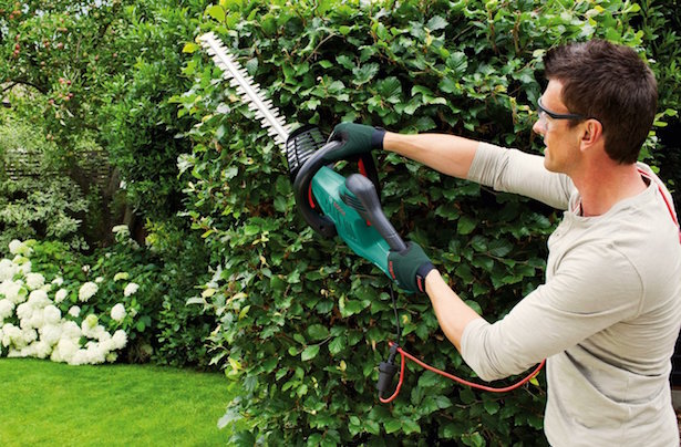 scegliere tagliasiepi