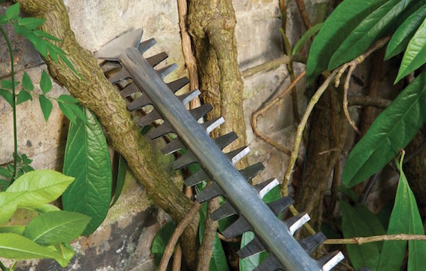 tagliasiepi come si usa