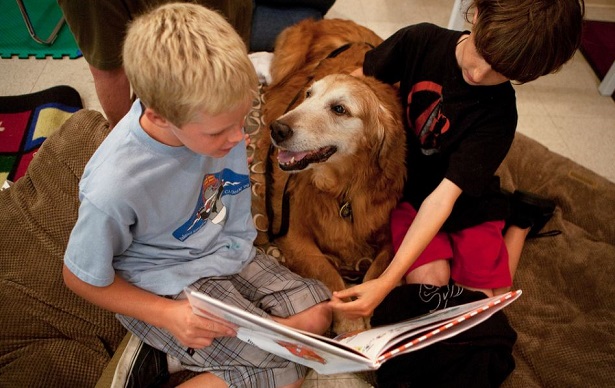 Pet Therapy e Pet Therapist