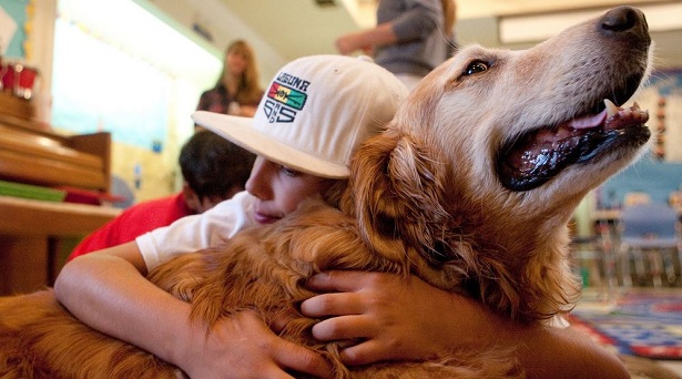 Pet Therapy e Pet Therapist Pet Therapy e Pet Therapist