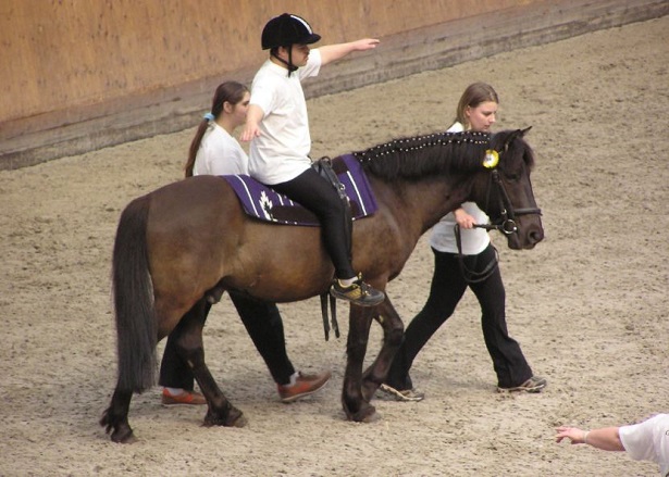 Pet Therapy e Pet Therapist Pet Therapy e Pet Therapist