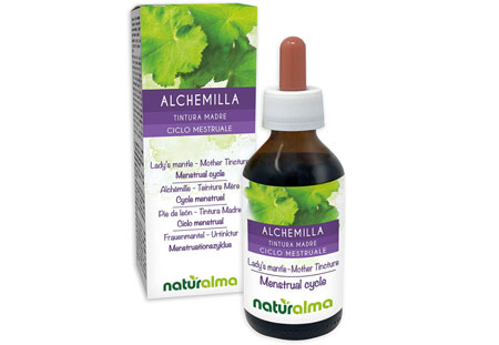 alchemilla tintura madre