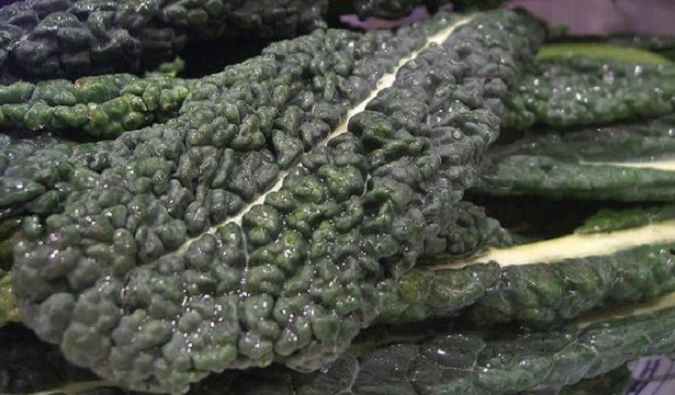 cavolo nero cavolo nero