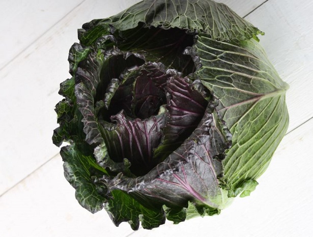 cavolo nero cavolo nero