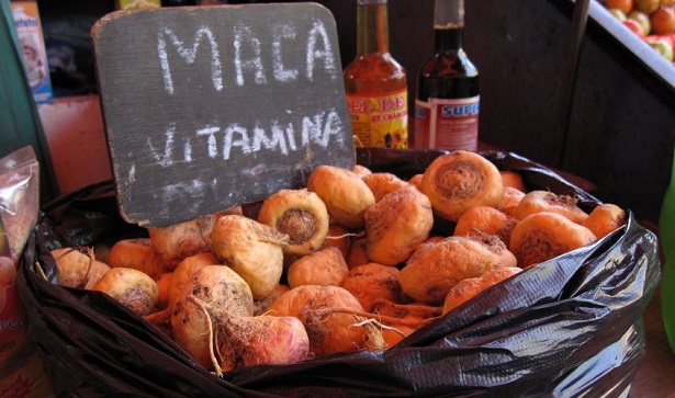 maca andina